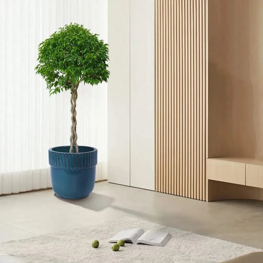 3 Pieces Ceramic Flowerpot, Modern Indoor Outdoor Planter for Garden & Patio - Antique Blue Default -DTYStore