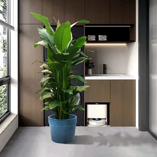 3 Pieces Ceramic Flowerpot, Modern Planter for Patio, Garden or Windowsills - Antique Blue Default -DTYStore