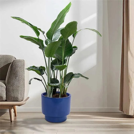 3 Pieces Ceramic Flowerpot, Modern Planter for Patio, Garden or Windowsills - Antique Blue Green Default -DTYStore