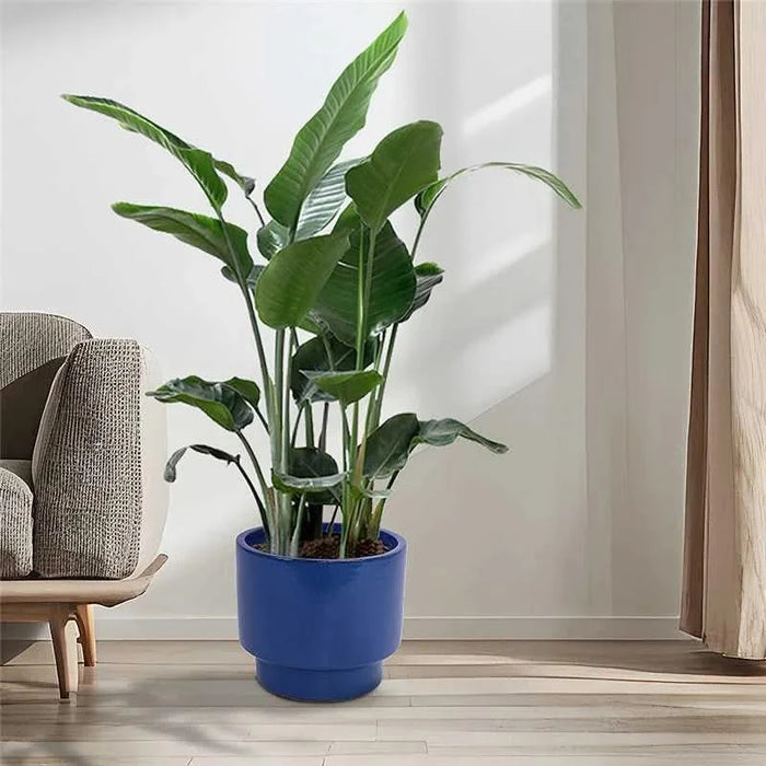 3 Pieces Ceramic Flowerpot, Modern Planter for Patio, Garden or Windowsills - Antique Blue Green Default -DTYStore