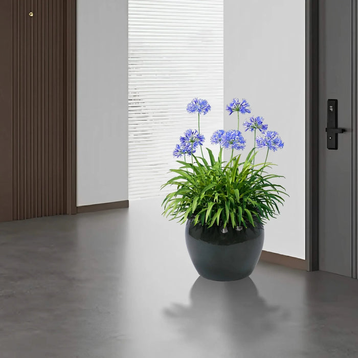 3 Pieces Ceramic Flowerpot, Modern Planter for Patio, Garden or Windowsills - Antique Blue Green Default -DTYStore