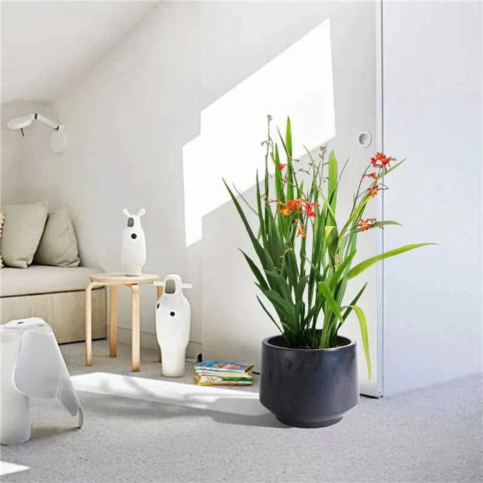 3 Pieces Ceramic Flowerpot, Modern Planter for Patio, Garden or Windowsills - Antique Gray Default -DTYStore