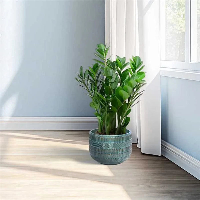 3 Pieces Ceramic Flowerpot, Modern Planter for Patio, Garden or Windowsills - Antique Navy Blue Default -DTYStore