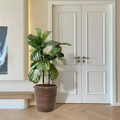 3 Pieces Ceramic Flowerpot, Modern Planter for Patio, Garden or Windowsills - Antique Yellow Default -DTYStore