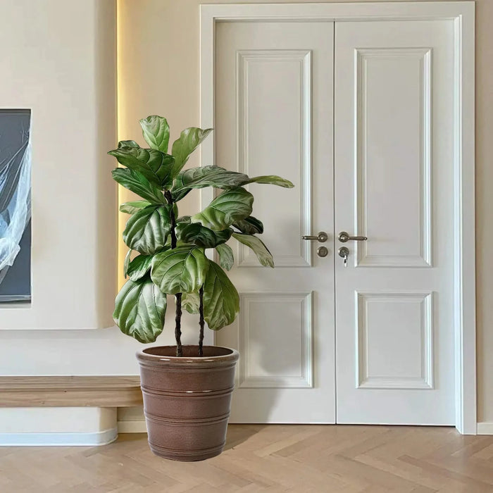 3 Pieces Ceramic Flowerpot, Modern Planter for Patio, Garden or Windowsills - Antique Yellow Default -DTYStore