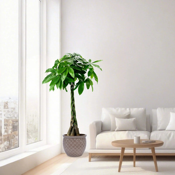 3 Pieces Ceramic Flowerpot, Modern Planter for Patio, Garden or Windowsills - Antique Yellow Default -DTYStore