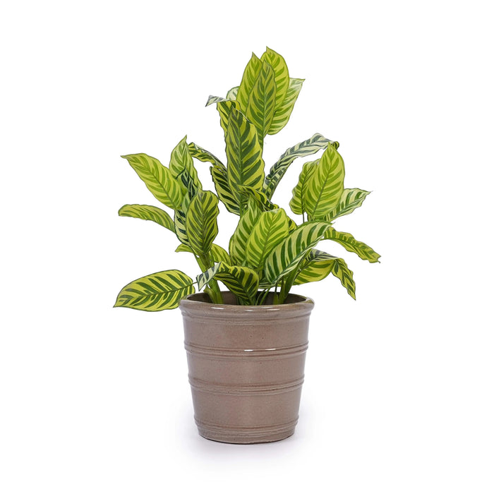 3 Pieces Ceramic Flowerpot, Modern Planter for Patio, Garden or Windowsills - Antique Yellow Default -DTYStore