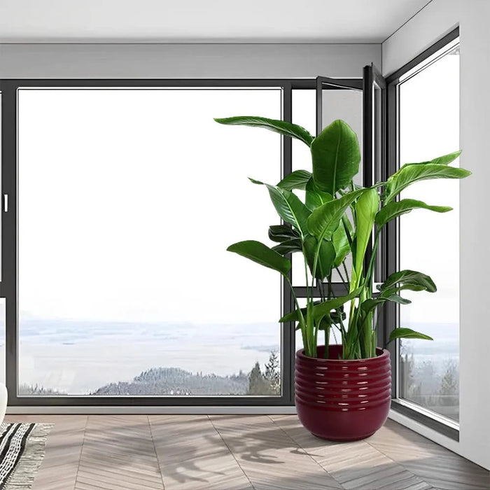 3 Pieces Ceramic Flowerpot, Modern Planter for Patio, Garden or Windowsills - Bean Paste Red Default -DTYStore