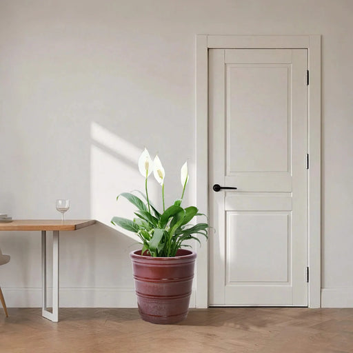 3 Pieces Ceramic Flowerpot, Modern Planter for Patio, Garden or Windowsills - Bean Paste Red Default -DTYStore