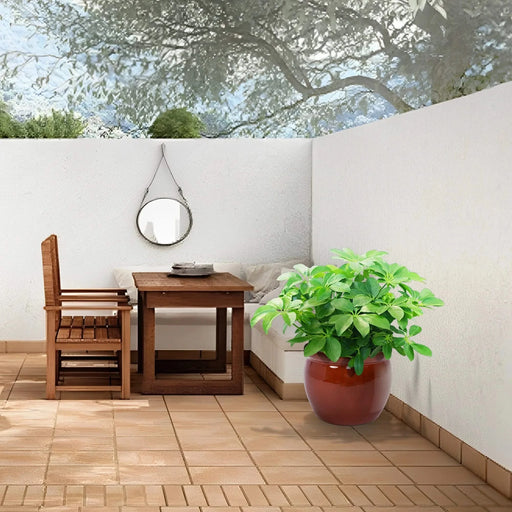 3 Pieces Ceramic Flowerpot, Modern Planter for Patio, Garden or Windowsills - Orange Default -DTYStore