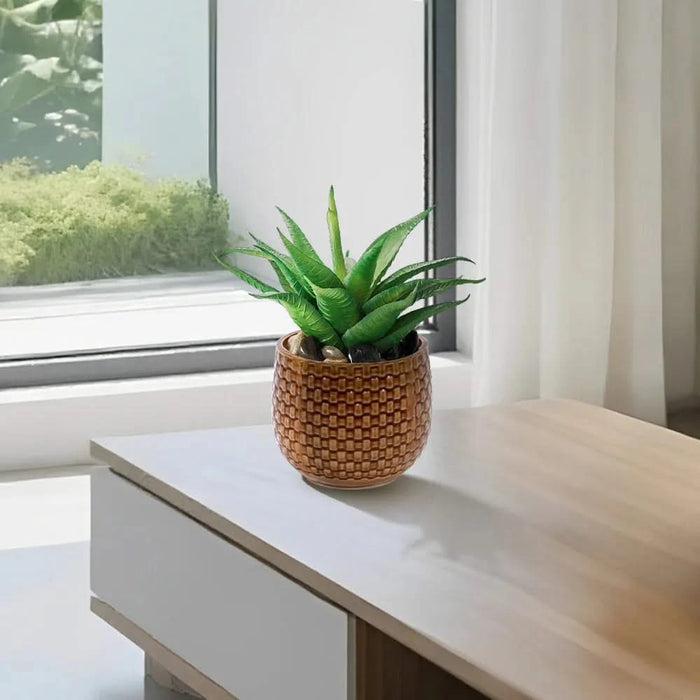 3 Pieces Ceramic Flowerpot, Modern Planter for Patio, Garden or Windowsills - Orange & Dark Brown Default -DTYStore