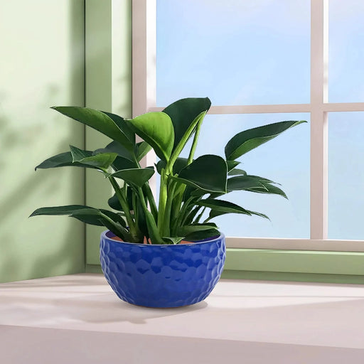 3 Pieces Ceramic Planter Pot, Modern Indoor Outdoor Flowerpot for Patio, Garden, or Windowsills - Antique Blue Default -DTYStore