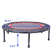 40 Inch Mini Exercise Trampoline for Adults or Kids - Indoor Fitness Rebounder Trampoline with Safety Pad | Max Default -DTYStore