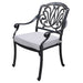 Patio Outdoor Aluminum Dining Armchair With Cushion, Set of 2, Cast Silver - DTYStore