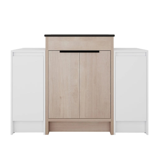 48 Inch Freestanding Bathroom Vanity with Black Ceramic Sink and 2-Storage Cabinets, Soft Closing Door, 02424+0312*2 Combination Cabinet, KD-Package Default -DTYStore