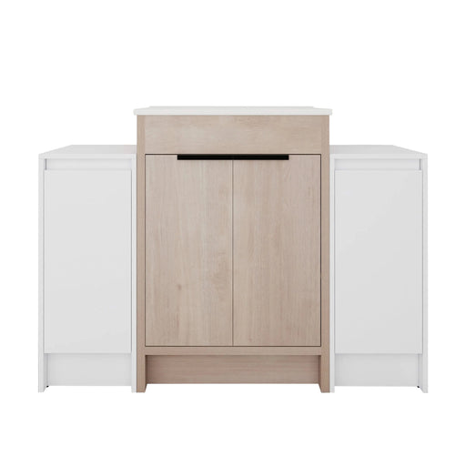 48 Inch Freestanding Bathroom Vanity with Ceramic Sink and 2-Storage Cabinets, Soft Closing Door, 02424+0312*2 Combination Cabinet, KD-Package Default -DTYStore