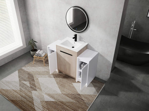 48 Inch Freestanding Bathroom Vanity with Ceramic Sink and 2-Storage Cabinets, Soft Closing Door, 02424+0312*2 Combination Cabinet, KD-Package Default -DTYStore