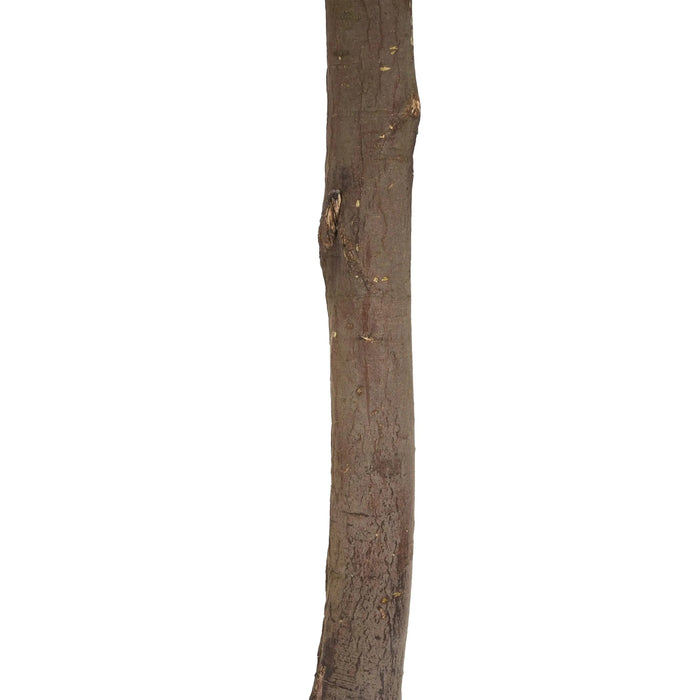 49' Artificial Topiary Bay Tree Ball With Pot, Set of 2 Default -DTYStore