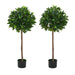 49' Artificial Topiary Bay Tree Ball With Pot, Set of 2 Default -DTYStore