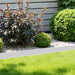 2-Pack Heavy Duty Corten Steel Landscape Edging – 42 Inch Strips, 5 Inch Depth Metal Edging for Landscaping, Easy to Install Hammer-in Edging for Durable and Waterproof Garden Borders - DTYStore