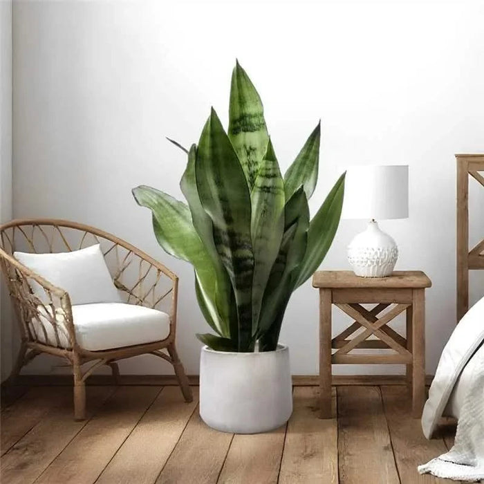 4 Pieces Ceramic Flowerpot, Modern Planter for Patio, Garden or Windowsills - American White Oak Default -DTYStore