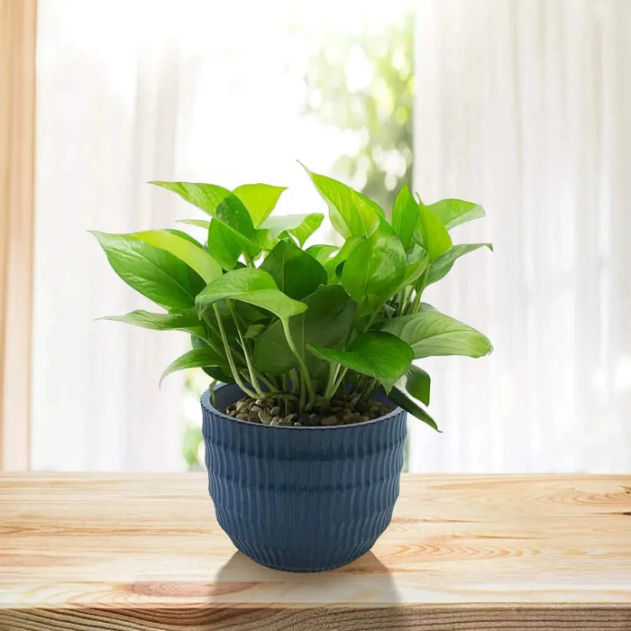 4 Pieces Ceramic Flowerpot, Modern Planter for Patio, Garden or Windowsills - Antique Blue Default -DTYStore