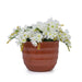 4 Pieces Ceramic Flowerpot, Modern Planter for Patio, Garden or Windowsills - Coral - DTY Store
