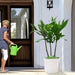 4 Pieces Ceramic Flowerpot, Modern Planter for Patio, Garden or Windowsills - Cream Color - DTY Store