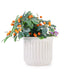 4 Pieces Ceramic Flowerpot, Modern Planter for Patio, Garden or Windowsills - Cream Color - DTY Store