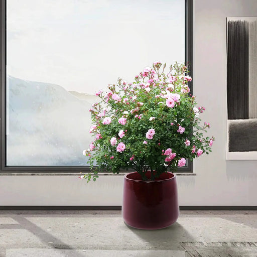 4 Pieces Ceramic Planter Pot, Modern Indoor Outdoor Flowerpot for Patio, Garden, or Windowsills - Bean Paste Red Default -DTYStore