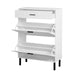 Shoe Cabinet, Freestanding Shoe Rack Storage Organizer with Drawers & Metal Legs, Modern Shoe Storage Cabinet with 2 Flip Drawers for Entryway - DTYStore