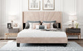 Queen Size Velvet Upholstered Platform Bed, Box Spring Needed - Beige - DTYStore