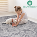 DTY Signature Collection 8X10 Grey/Silver/Oriental Non-Shedding Living Room Bedroom Dining Home Office Stylish and Stain Resistant Area Rug - DTYStore