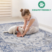 DTY Signature Collection 8X10 Blue/Grey/Oriental Non-Shedding Living Room Bedroom Dining Home Office Stylish and Stain Resistant Area Rug - DTYStore
