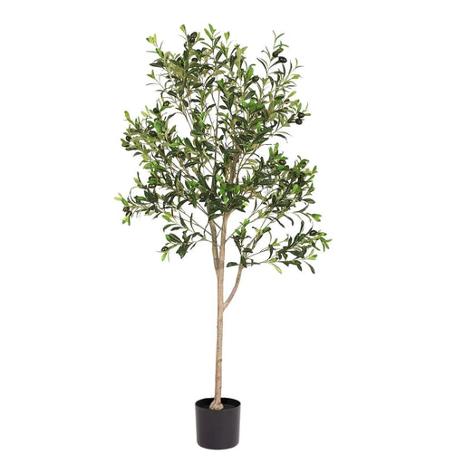 5FT Assembled Artificial Tree Olive Tree with Branches and Fruits Faux Greenery for Indoor Home and Office Decoration 1pc/set Default -DTYStore