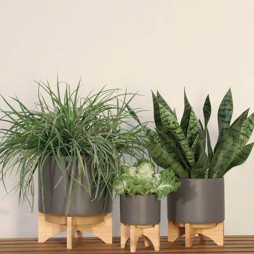 5' PLANTER W/ WOOD STAND, MATTE GRAY Default -DTYStore