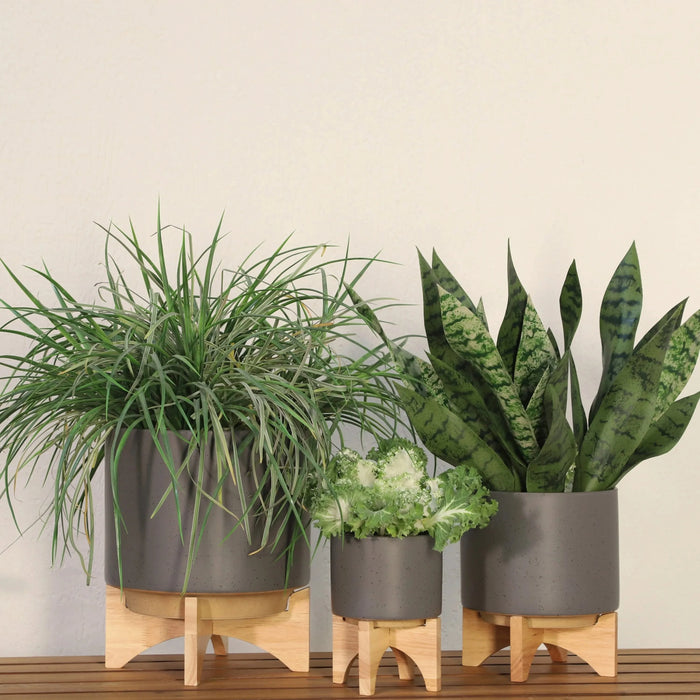 5' PLANTER W/ WOOD STAND, MATTE GRAY Default -DTYStore