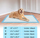 Super-Absorbent Waterproof Dog and Puppy Pet Training Pad, Housebreaking Pet Pad, 100-Count Extra Small-Size, 13â€™â€™X17.7â€™â€™, Blue - DTYStore