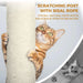 63 Inches Multi-Level Large Cat Tree beige- DTY Store