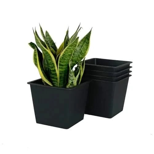 6.3' Square Nursery Plant Pot - Garden Plastic Pots with Drainage (5-Pack) Default -DTYStore