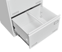 Filing Cabinet Lateral File Cabinet 2 Drawer, White Filing Cabinets with Lock, Locking Metal File Cabinets Three Drawer Office Cabinet for Legal/Letter/A4/F4 Home Offic - DTYStore