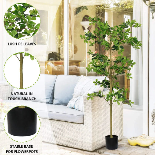 6FT Tall Artificial Tree, Fake Polyscias Fruticosa Plant for Indoor Decor, Potted Faux Silk Greenery for Living Room, Office, Home Decoration 1pc/set Default -DTYStore