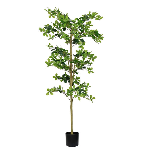 6FT Tall Artificial Tree, Fake Polyscias Fruticosa Plant for Indoor Decor, Potted Faux Silk Greenery for Living Room, Office, Home Decoration 1pc/set Default -DTYStore