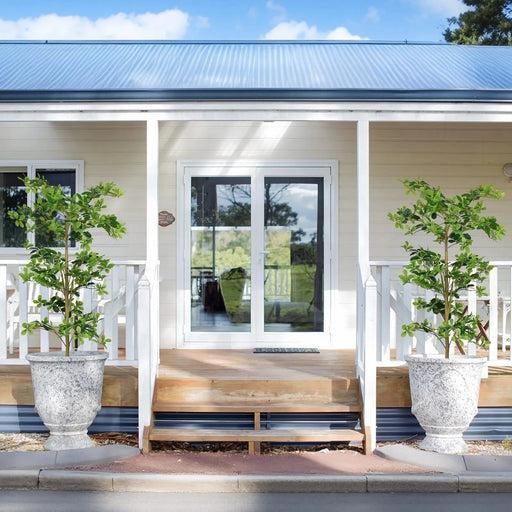 6FT Tall Artificial Tree, Fake Polyscias Fruticosa Plant for Indoor Decor, Potted Faux Silk Greenery for Living Room, Office, Home Decoration 1pc/set Default -DTYStore