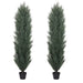 6FT detachable Artificial green pine and cypress tall simulation plant for indoor and outdoor decoration 2pcs/set Default -DTYStore