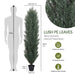 6FT detachable Artificial green pine and cypress tall simulation plant for indoor and outdoor decoration 2pcs/set Default -DTYStore