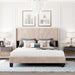 Queen Size Velvet Upholstered Platform Bed, Box Spring Needed - Beige - DTYStore