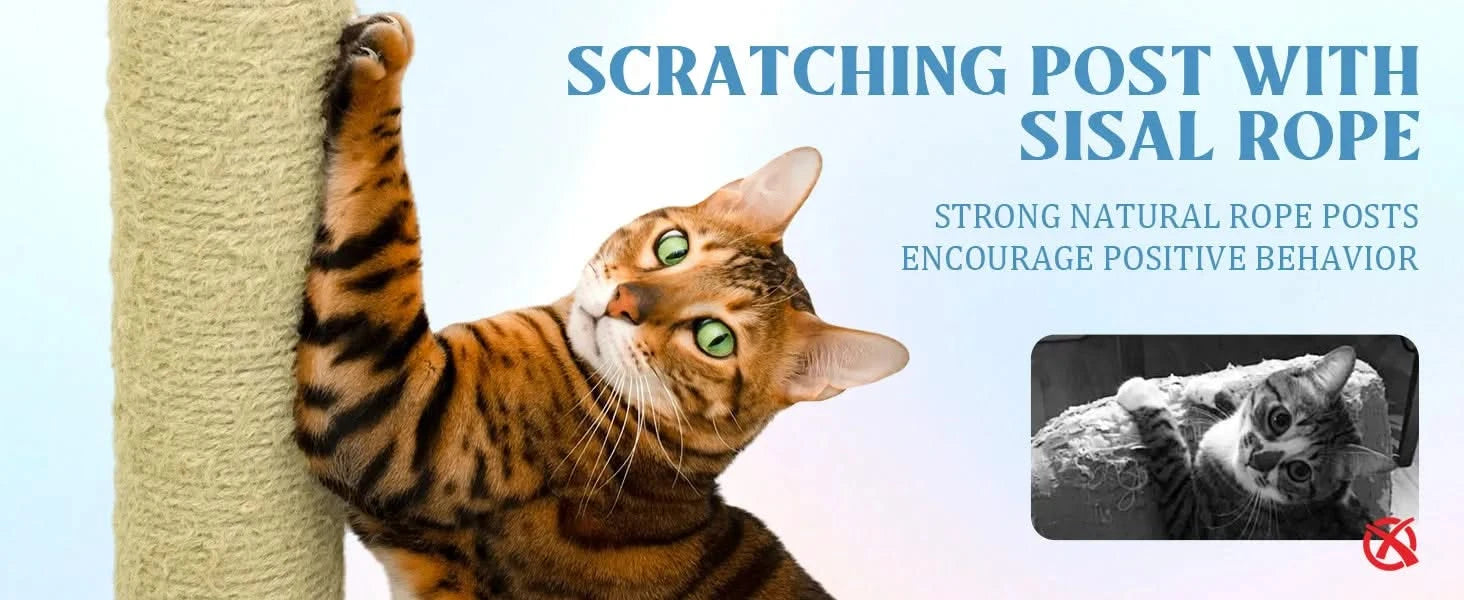 71 inch flower cat tree with large condo removable flower cushion and hammock blue Default -DTYStore