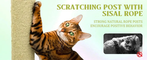 71 inch flower cat tree with large condo removable flower cushion and hammock yellow Default -DTYStore