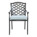 Dining Arm Chair, Light Blue, Set of 2 - DTYStore
